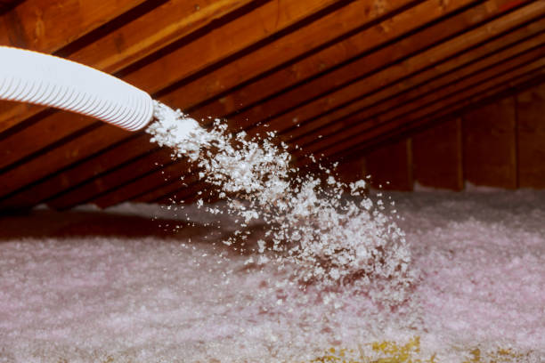 Best Eco-Friendly Insulation in Fond Du Lac, WI