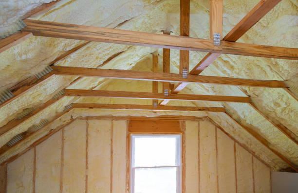 Best Geographic-Specific Insulation Services in Fond Du Lac, WI