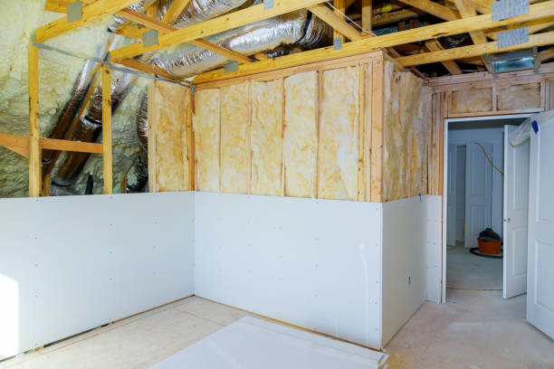Best Insulation Maintenance and Repair in Fond Du Lac, WI