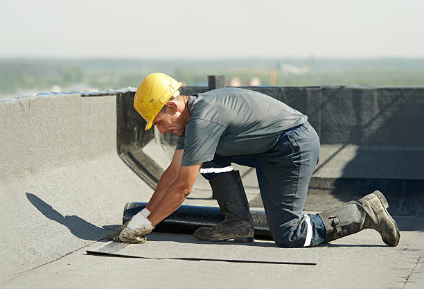 Best Geographic-Specific Insulation Services in Fond Du Lac, WI